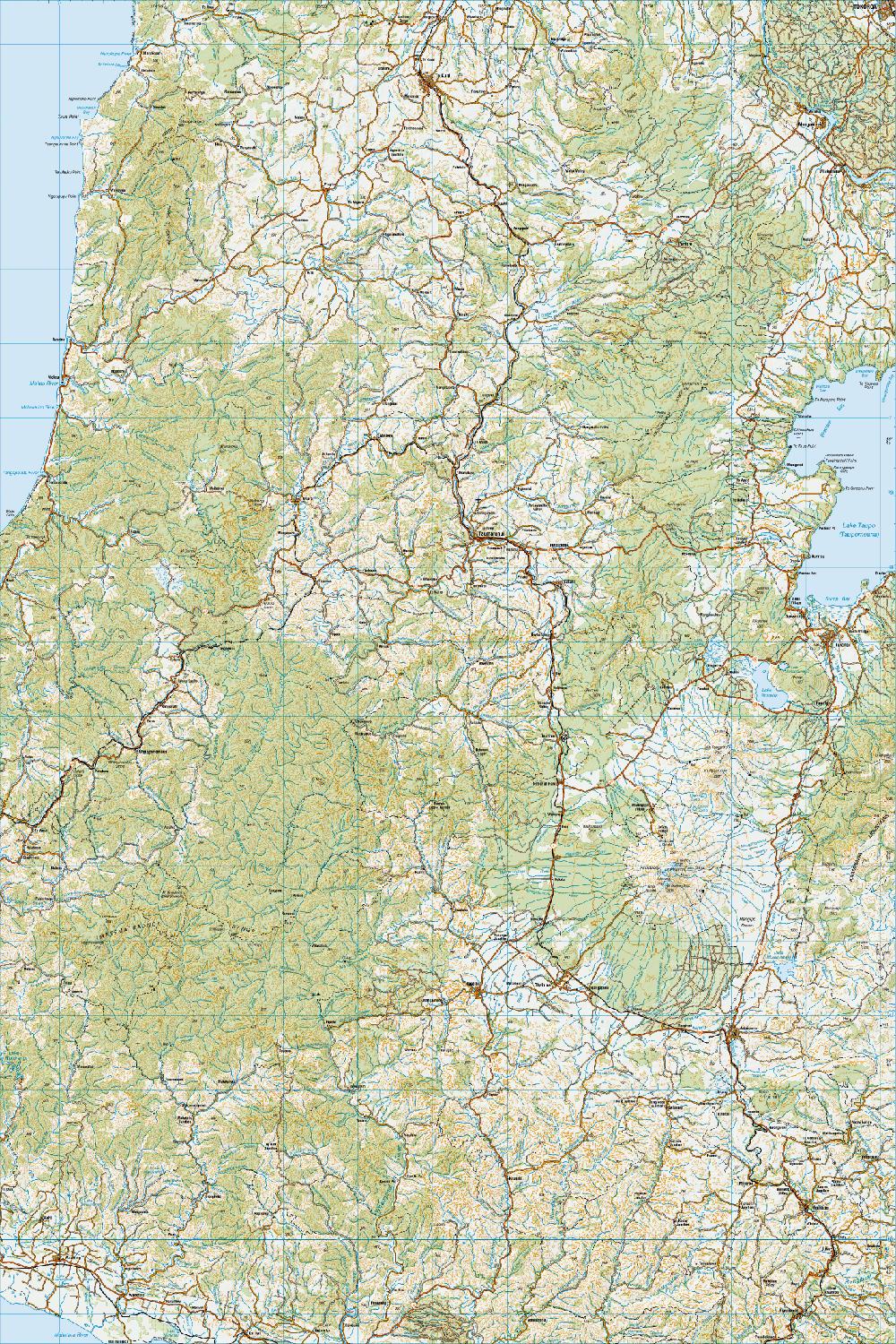 Topo map of Taumarunui