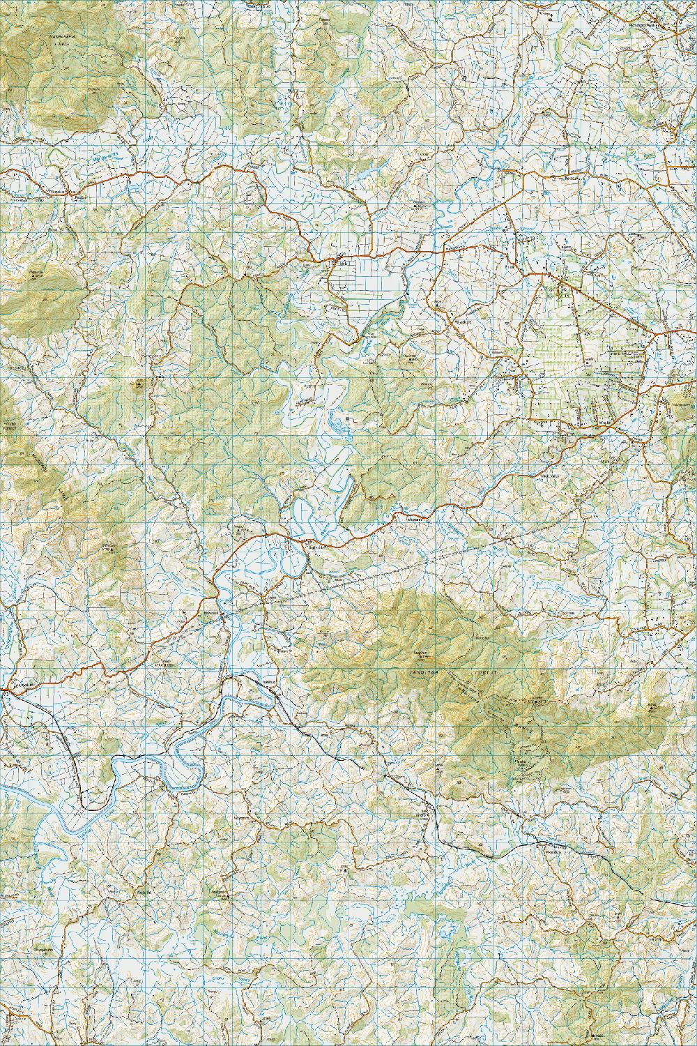 Topo map of Tangowahine