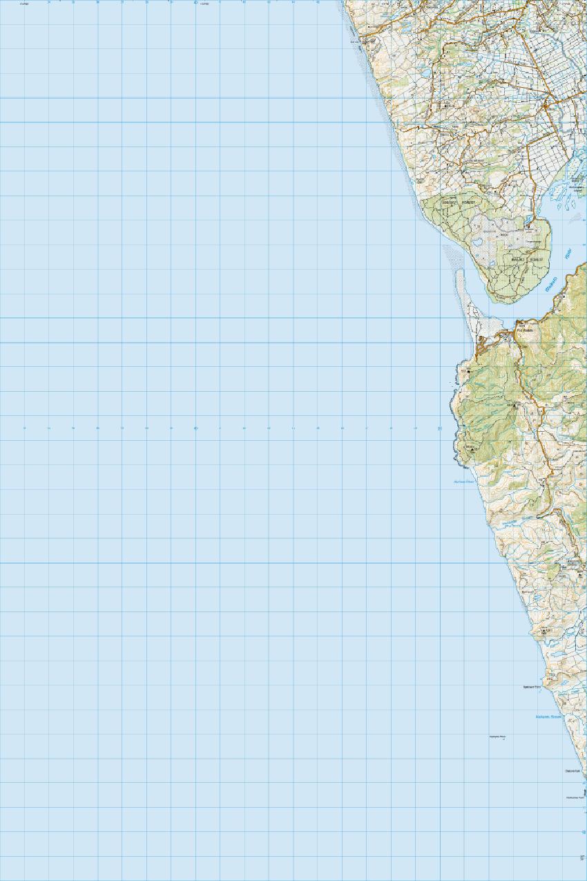 Topo map of Port Waikato