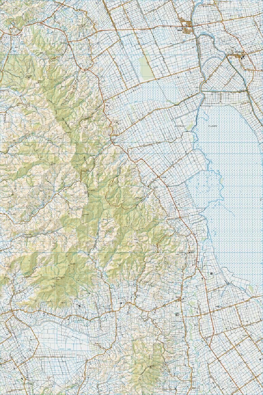 Topo map of Ngatea
