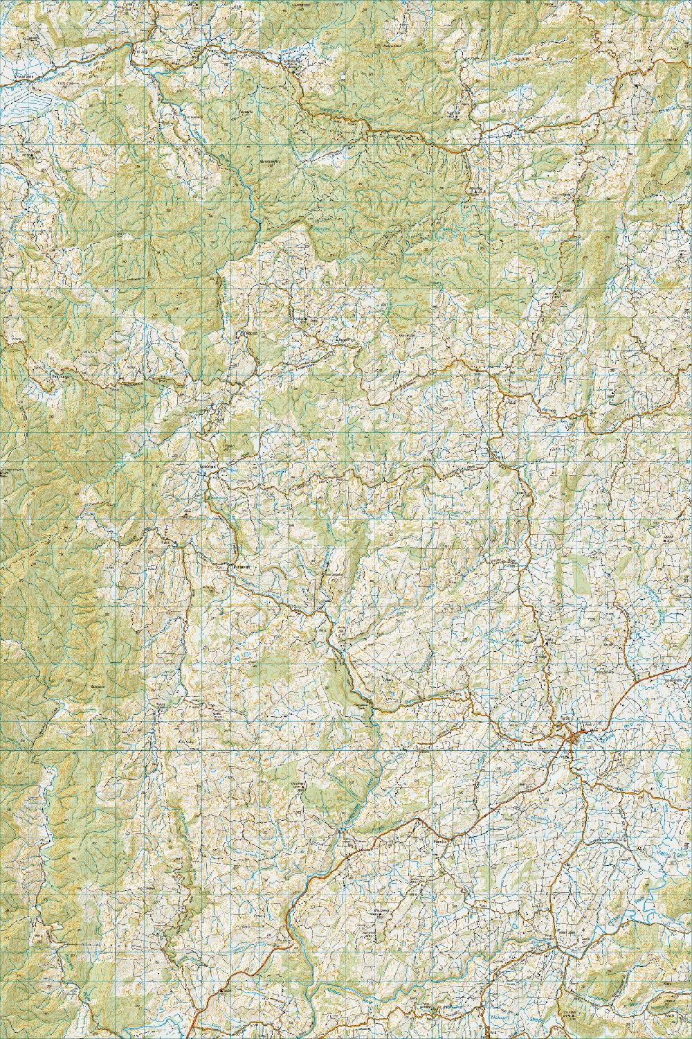 Topo map of Piopio