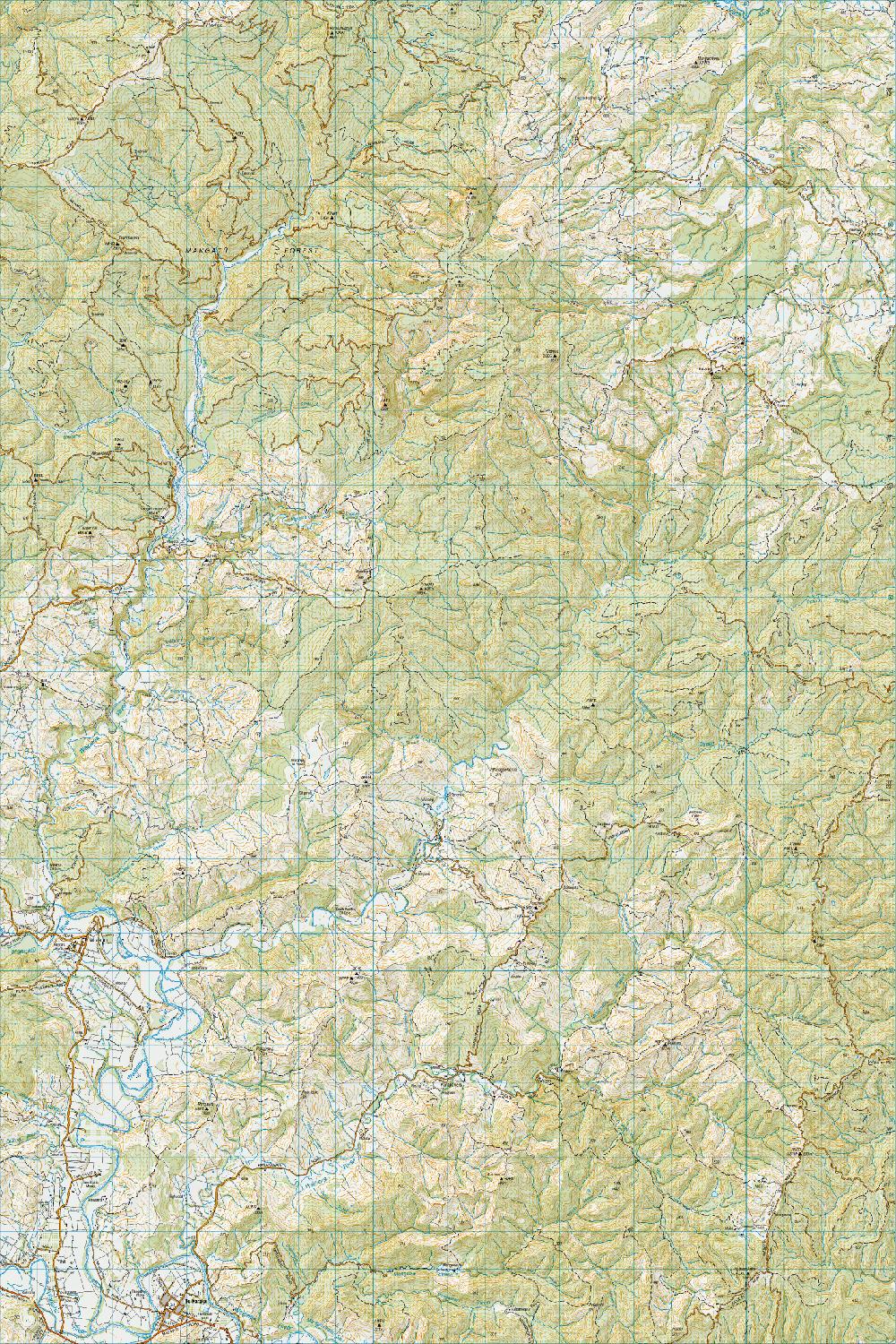 Topo map of Te Karaka