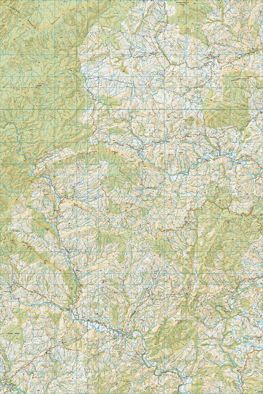 Topo map of Ruakituri
