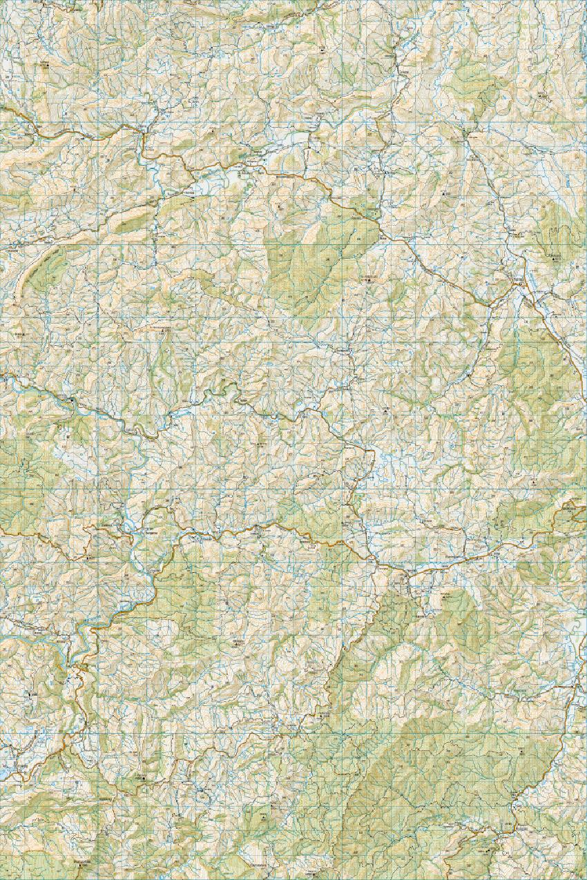 Topo map of Ngatapa