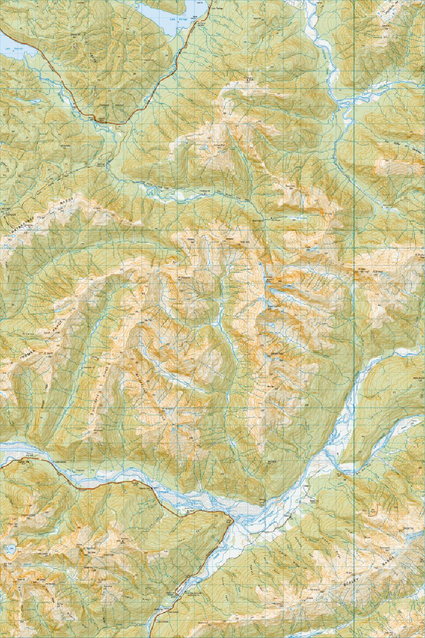 Topo map of Lake Paringa