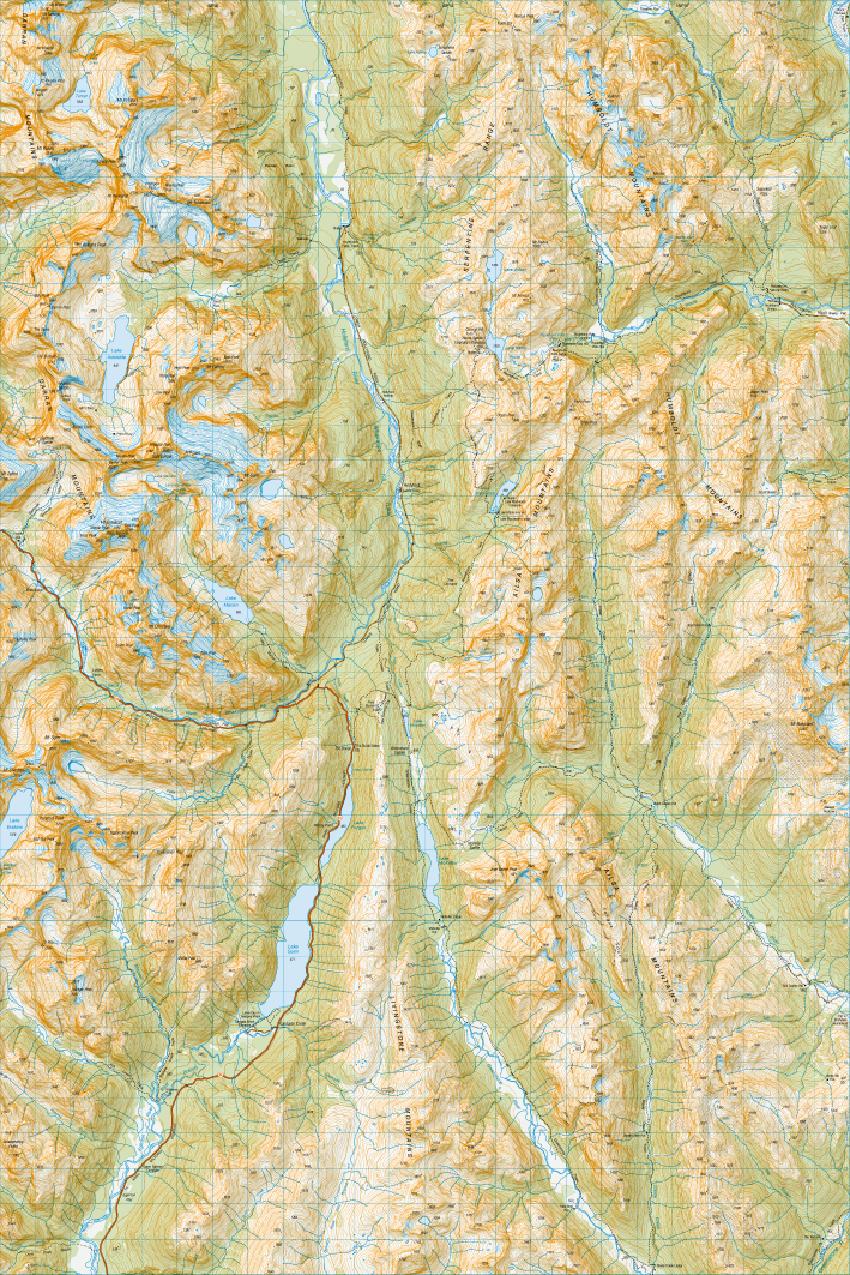 Topo map of Hollyford