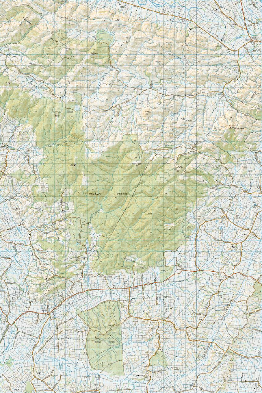 Topo map of Hokonui Hills