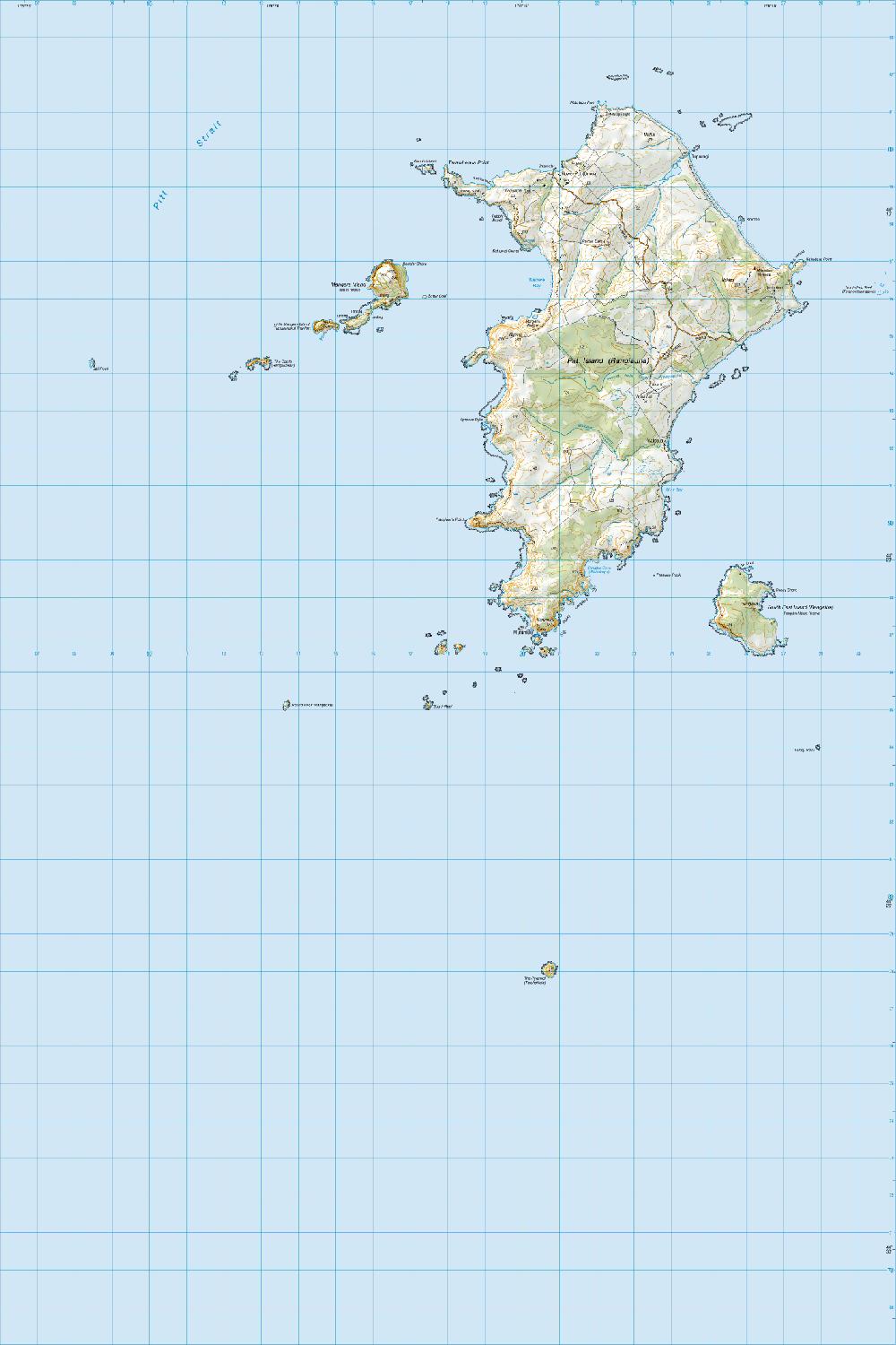 Topo map of Pitt Island (Rangiauria)